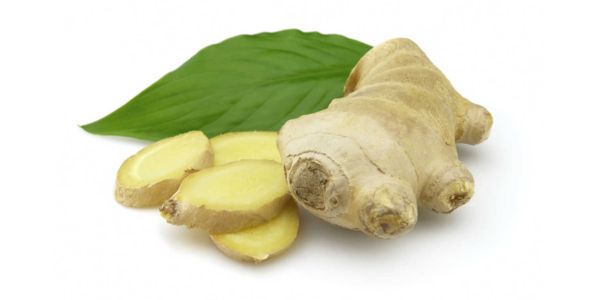 El jengibre, kion o quion (Zingiber officinale) jengibre
