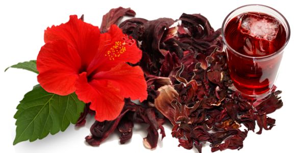 La flor de hibiscus - Naturline Sex