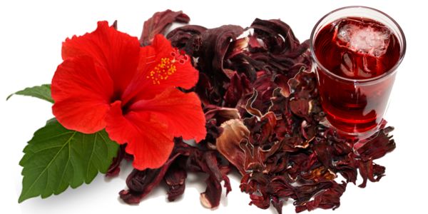 La flor de hibiscus - Naturline Sex La flor de hibiscus - Naturline Sex