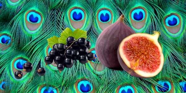Alimentos Que Producen Feromonas Dispara Tu Nivel De Atracción Sexual